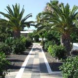 Playa Limones, Bild 7