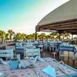 Kamelya Aishen Club, Bild 4