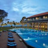 Cinnamon Bey, Bild 3