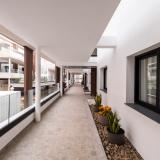 Coral Cotillo Reef, Bild 5 ansehen Coral Cotillo Reef, Bild 5