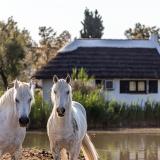 L'Auberge Cavalière du Pont Des Bannes, Bild 10