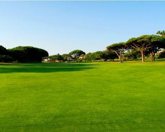 4 Sterne Hotel: Aparthotel Oceanus - Albufeira, Algarve, Bild 10