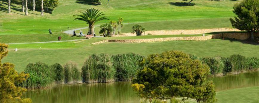 4 Sterne Hotel: Hotel Bonalba Alicante - Mutxamel, Costa Blanca (Valencia), Bild 10