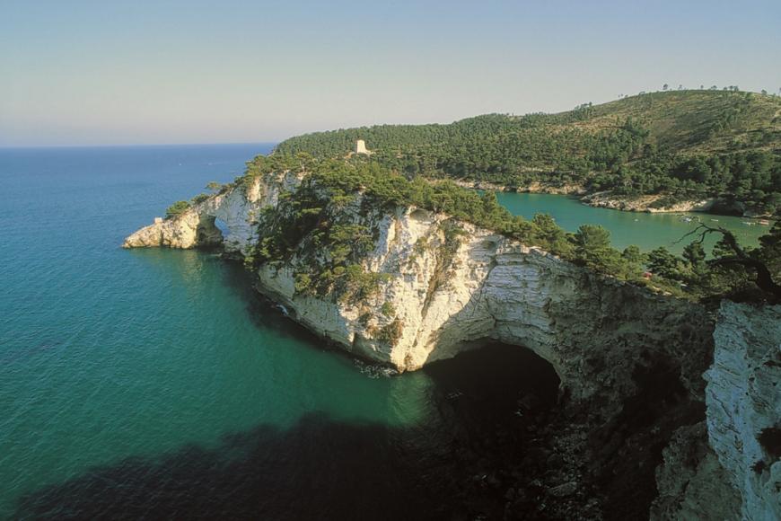 4 Sterne Hotel: Degli Aranci - Vieste, Bild 4