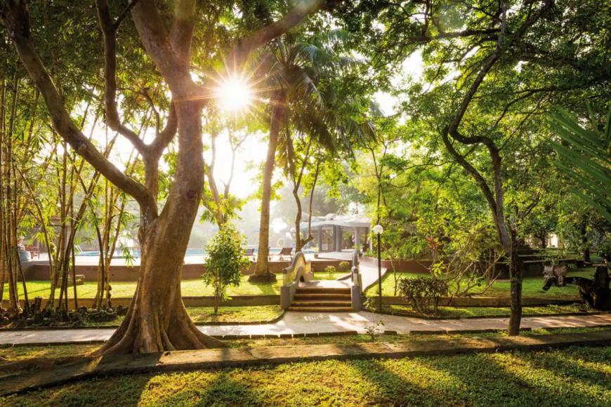 3.5 Sterne Hotel: Siddhalepa Ayurveda Health Resort - Wadduwa, Westprovinz, Bild 8