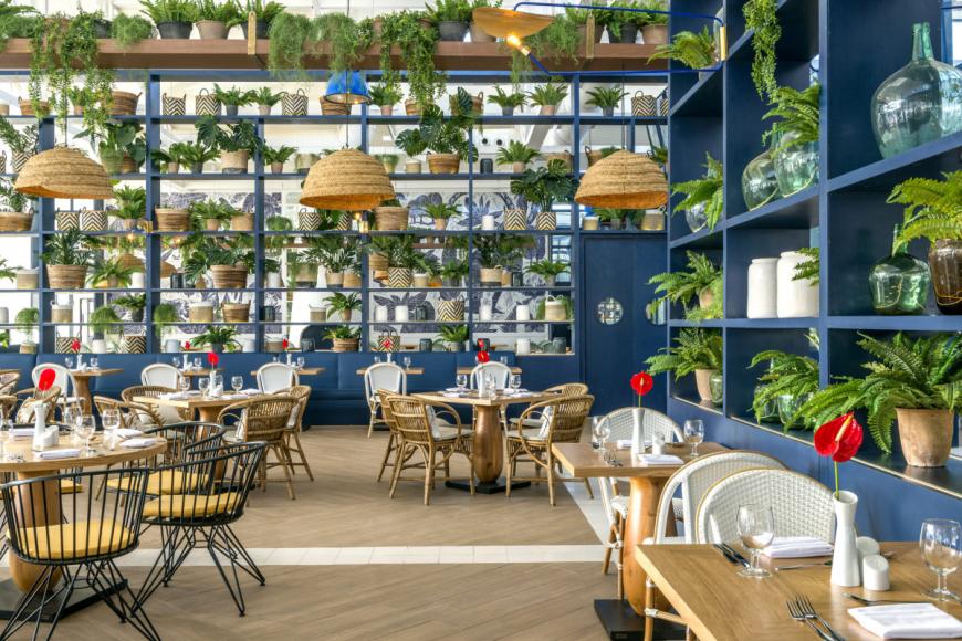 4 Sterne Hotel: Ocean Riviera Paradise - Playa del Carmen, Yucatan, Bild 3