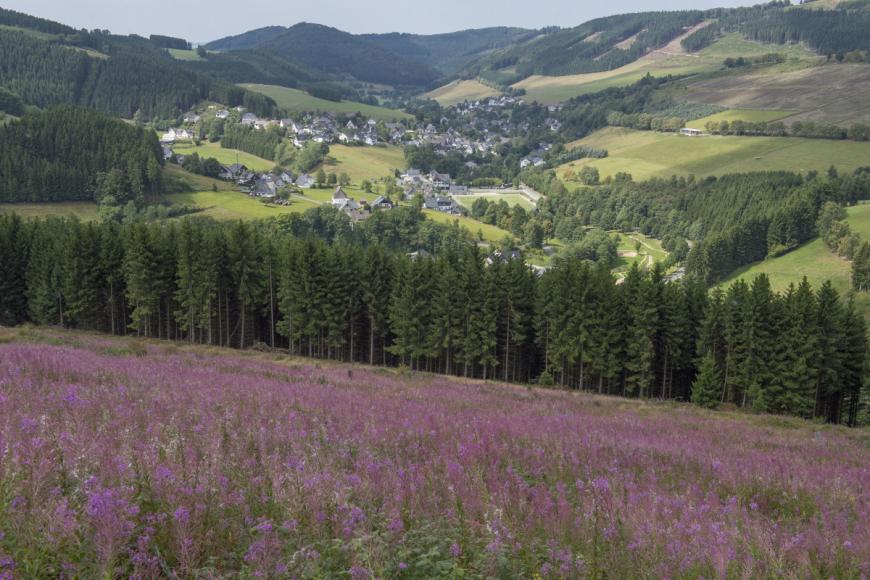 4 Sterne Hotel: Berghotel Hoher Knochen - Schmallenberg, Nordrhein-Westfalen, Bild 2