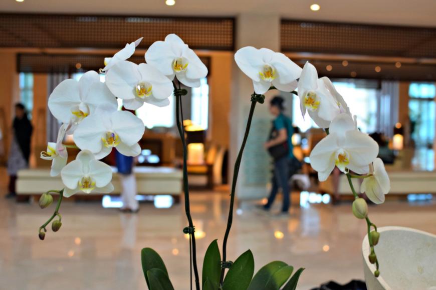 5 Sterne Hotel: The Radisson Blu Fujairah - Fujairah, Fujairah, Bild 6