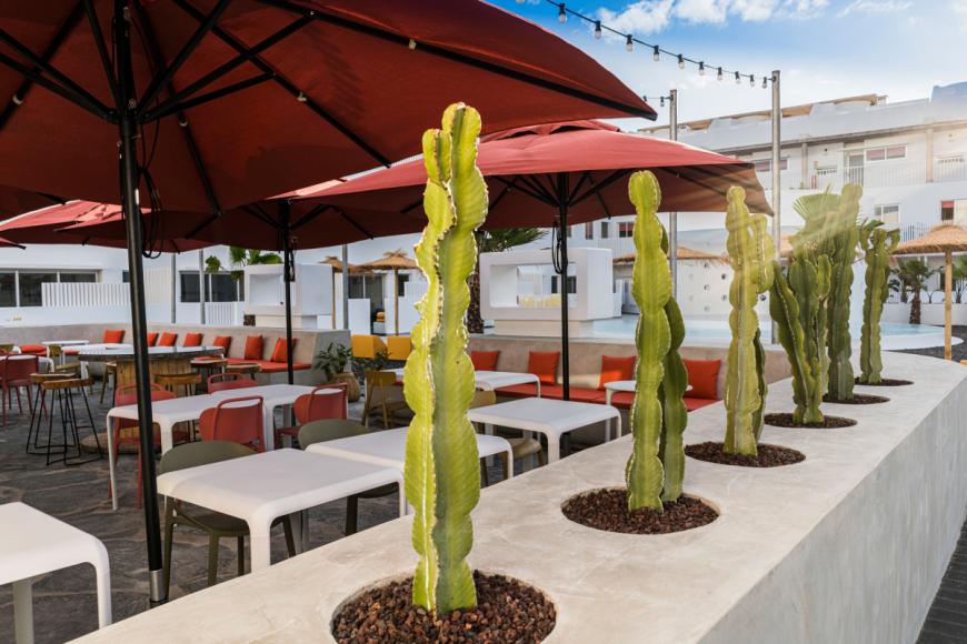 3 Sterne Hotel: Buendia Corralejo Nohotel - Corralejo, Fuerteventura (Kanaren), Bild 6