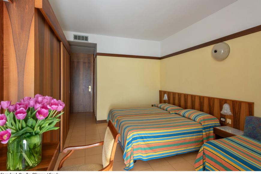 4 Sterne Hotel: Olimpo - Garda, Gardasee, Bild 4