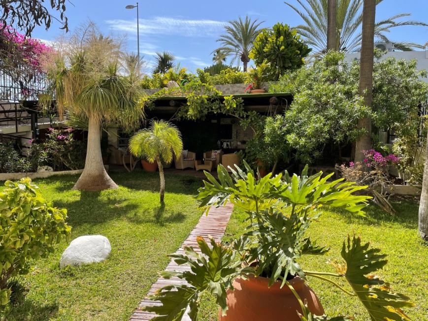 2 Sterne Hotel: Alsol Nogal - Adults Only - Playa del Ingles, Gran Canaria (Kanaren), Bild 8