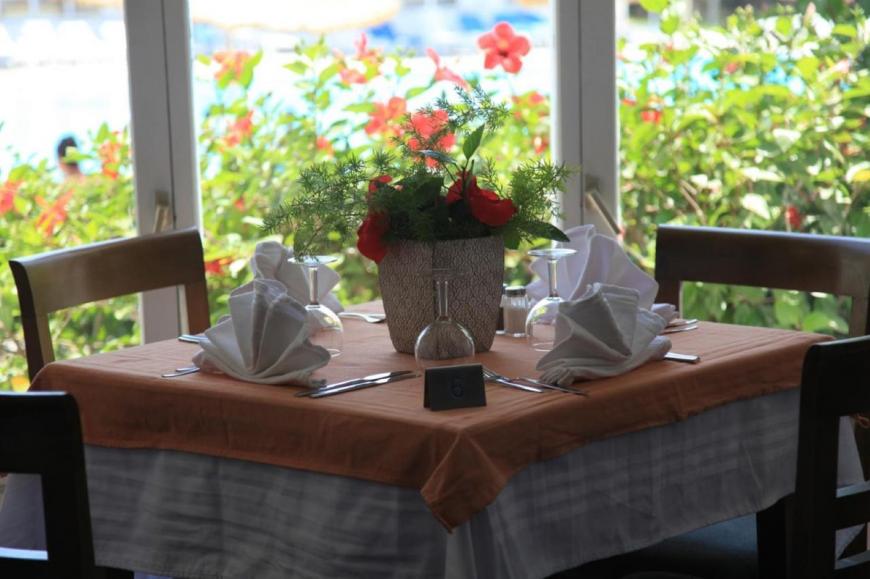 4 Sterne Hotel: Menara Hammamet - Hammamet, Grossraum Hammamet, Bild 10