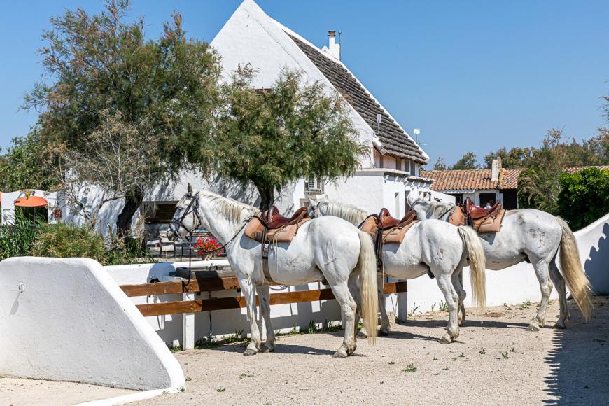 4 Sterne Hotel: L'Auberge Cavalière du Pont Des Bannes - Saintes-Maries-de-la-Mer, Provence-Alpes-Cote d'Azur, Bild 6