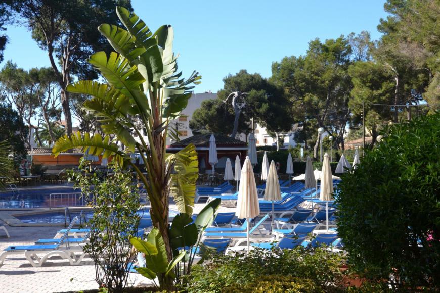 3 Sterne Hotel: Pabisa Sofia - Playa de Palma, Mallorca (Balearen), Bild 10