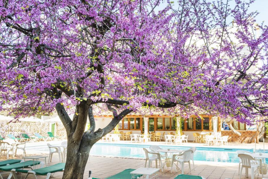 3 Sterne Hotel: Gaya - Paguera, Mallorca (Balearen), Bild 4