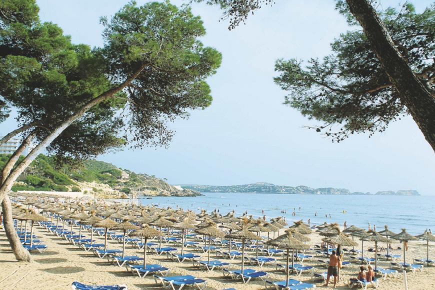 4 Sterne Hotel: Morlans Garden - Paguera, Mallorca (Balearen), Bild 3