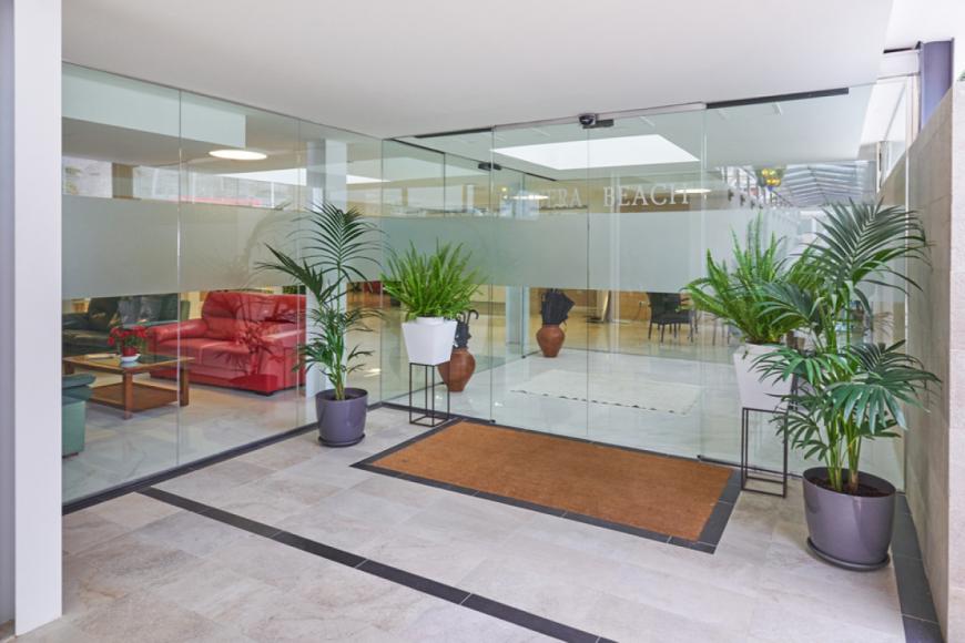 4 Sterne Hotel: Paguera Beach - Paguera, Mallorca (Balearen), Bild 7