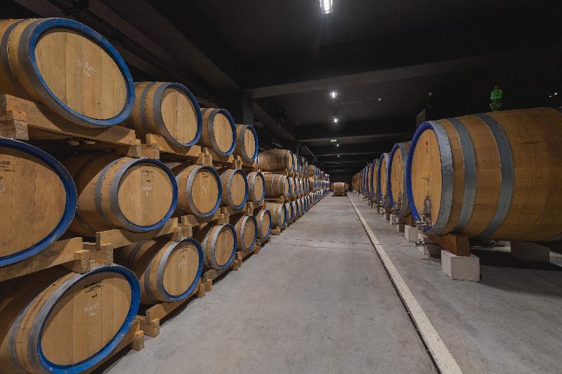 4 Sterne Hotel: ROXANICH Winery and Design Hotel - Motovun, Istrien, Bild 6