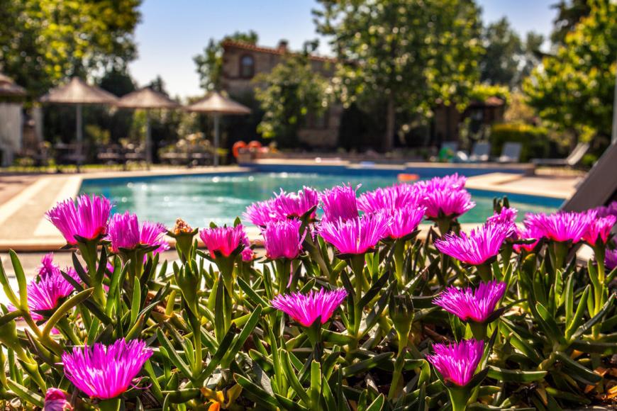 4 Sterne Hotel: Petrino Suites - Afitos, Chalkidiki, Bild 2