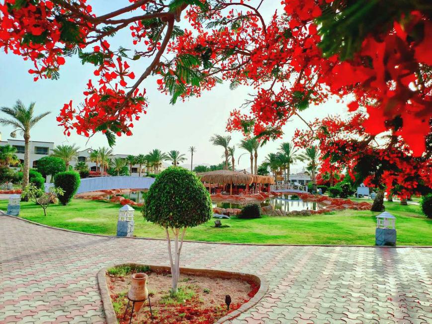 5 Sterne Hotel: Royal Regency Club - Sharm el Sheikh, Sinai, Bild 2