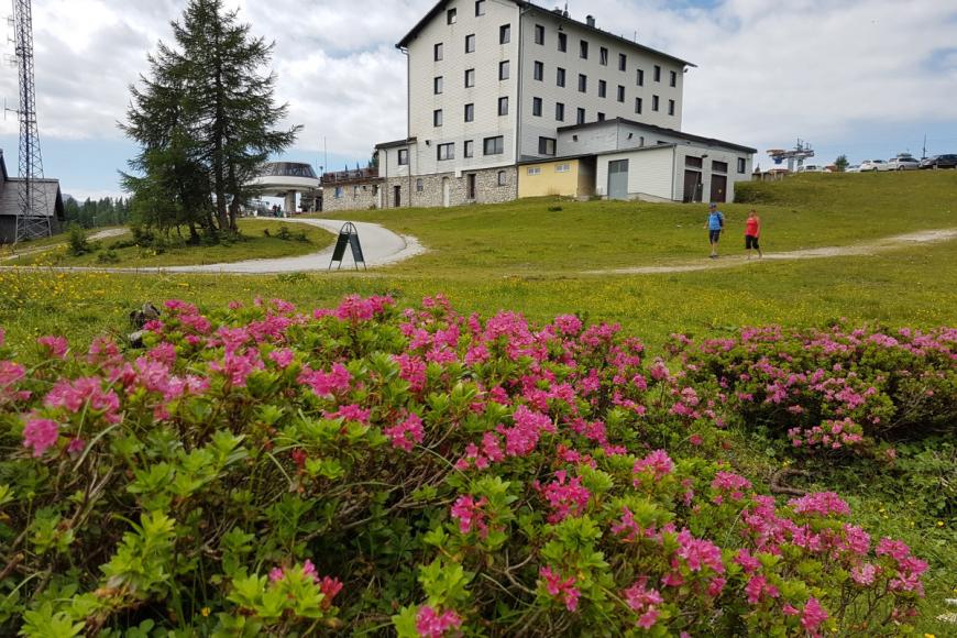 3 Sterne Hotel: Berghof Tauplitzalm - Tauplitz, Steiermark
