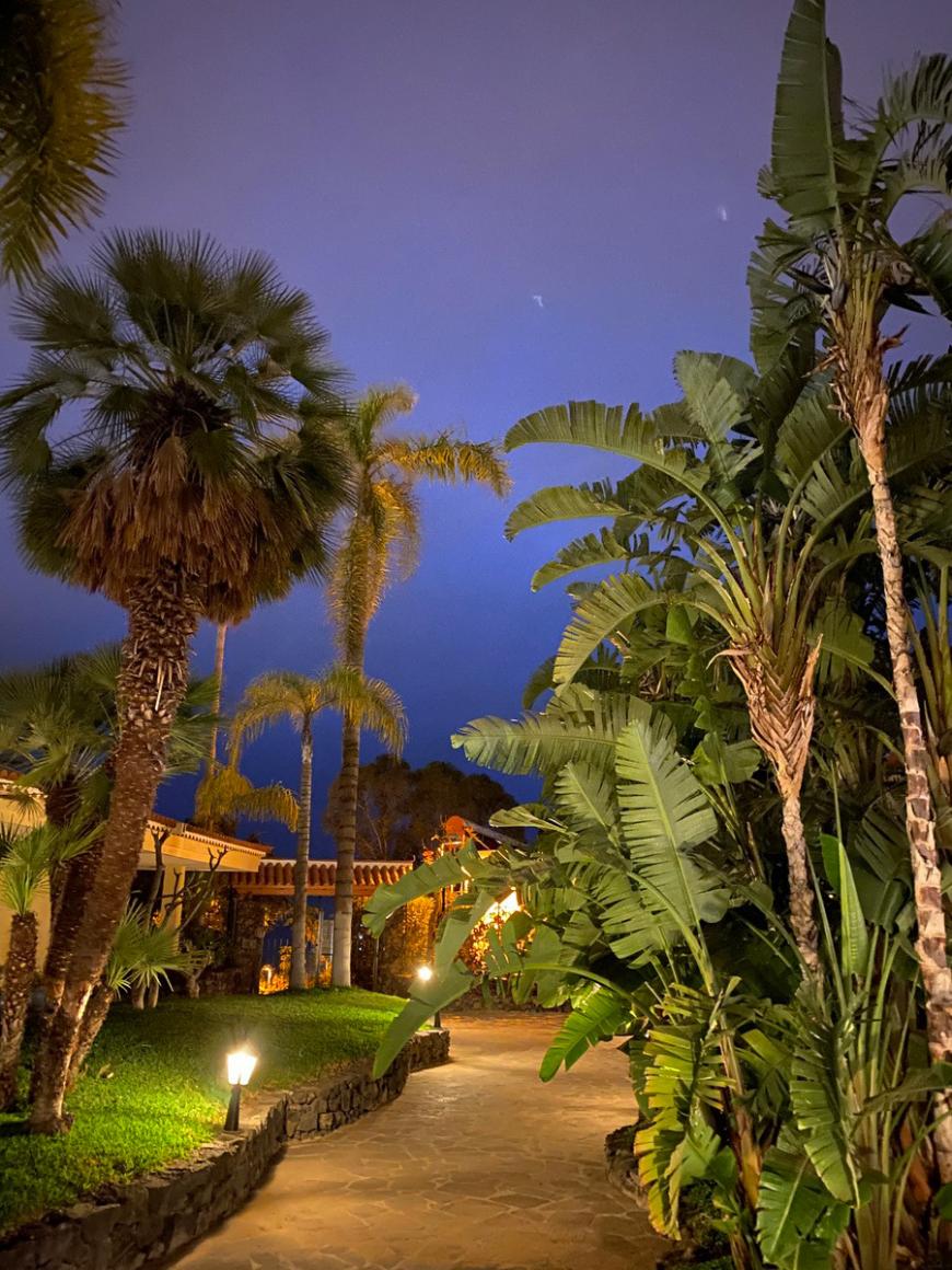 3 Sterne Hotel: Tigaiga Suites - Puerto de la Cruz, Teneriffa (Kanaren), Bild 3