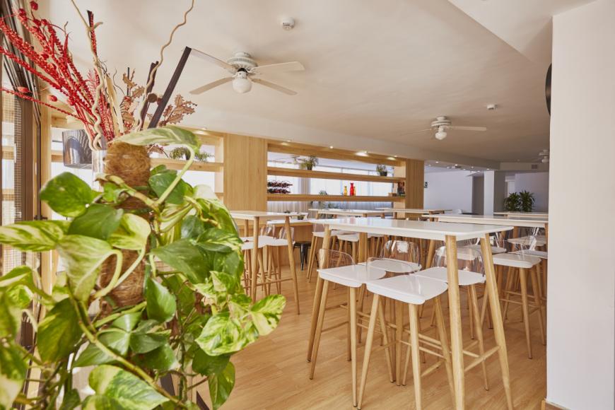 3 Sterne Hotel: Coral Los Alisios - Los Cristianos, Teneriffa (Kanaren), Bild 10