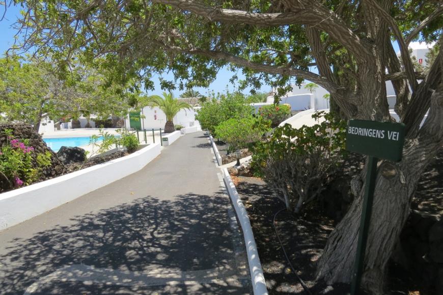 3 Sterne Hotel: Casas Heddy - Puerto del Carmen, Lanzarote (Kanaren), Bild 2