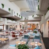 Paradisius by Melia Salinas Lanzarote, Bild 9