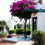 HL Club Playa Blanca, Bild 3