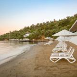 Paloma Pasha, Bild 2