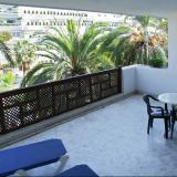 Monarque Sultan, Bild 6