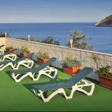 Kaktus Albir, Bild 9