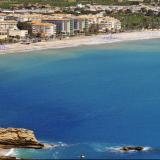 Kaktus Albir, Bild 2