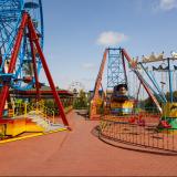 Delphin Diva, Bild 6