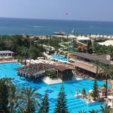 Delphin Diva, Bild 5