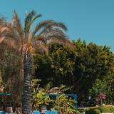 Süral Resort, Bild 3