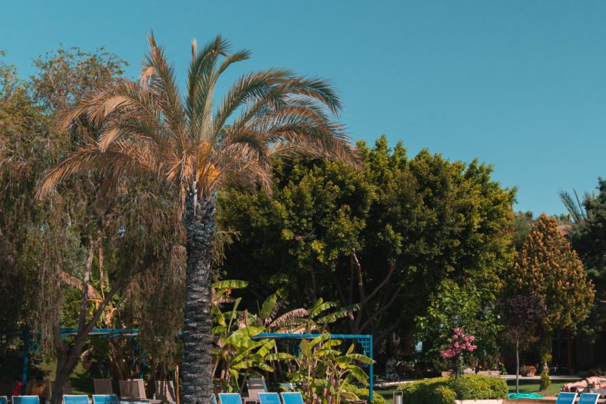 5 Sterne Familienhotel: Süral Resort - Side, Türkische Riviera, Bild 3