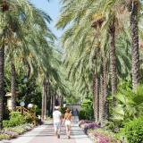 Crystal Aura Aqua Collection, Bild 3