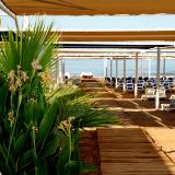 Dream Family Club, Bild 4