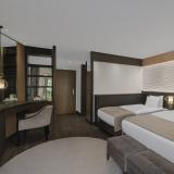 Papillon Belvil, Bild 2