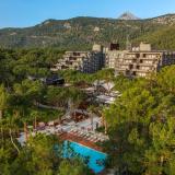 Balmy Foresta, Bild 7