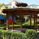 Kleopatra Royal Palm, Bild 10