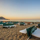 Kleopatra Royal Palm, Bild 3