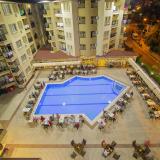 Kleopatra Royal Palm, Bild 4