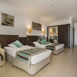 Kleopatra Royal Palm, Bild 6