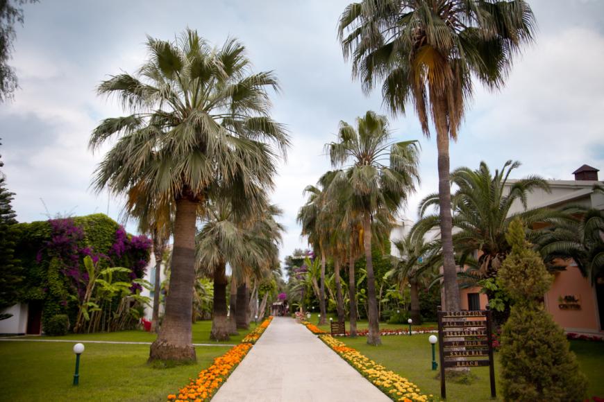 4 Sterne Familienhotel: Club Boran Mare Beach - Kemer, Türkische Riviera, Bild 6