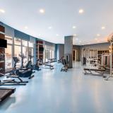 Leodikya Kirman Premium, Bild 8