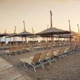 Asteria Bloom Side, Bild 2