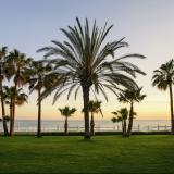 Acanthus Cennet Barut Collection, Bild 2